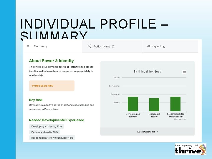 INDIVIDUAL PROFILE – SUMMARY 