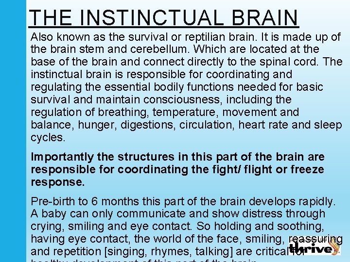 THE INSTINCTUAL BRAIN Also known as the survival or reptilian brain. It is made