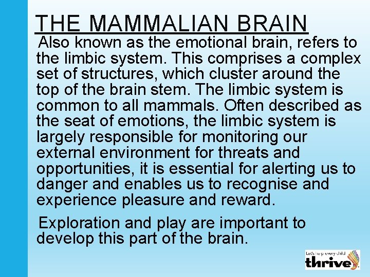 THE MAMMALIAN BRAIN Also known as the emotional brain, refers to the limbic system.