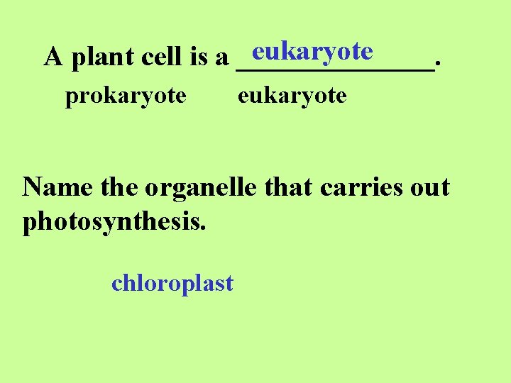eukaryote A plant cell is a _______. prokaryote eukaryote Name the organelle that carries