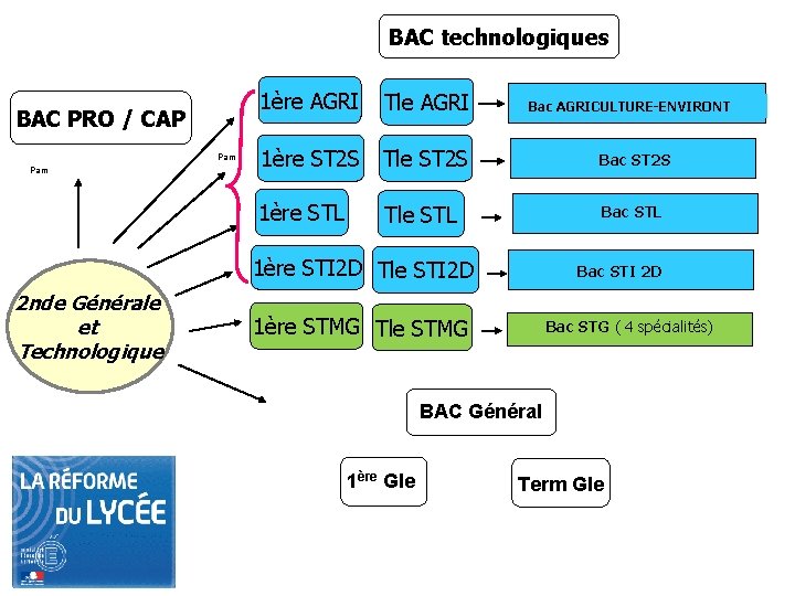 BAC technologiques BAC PRO / CAP Pam 1ère AGRI Tle AGRI 1ère ST 2