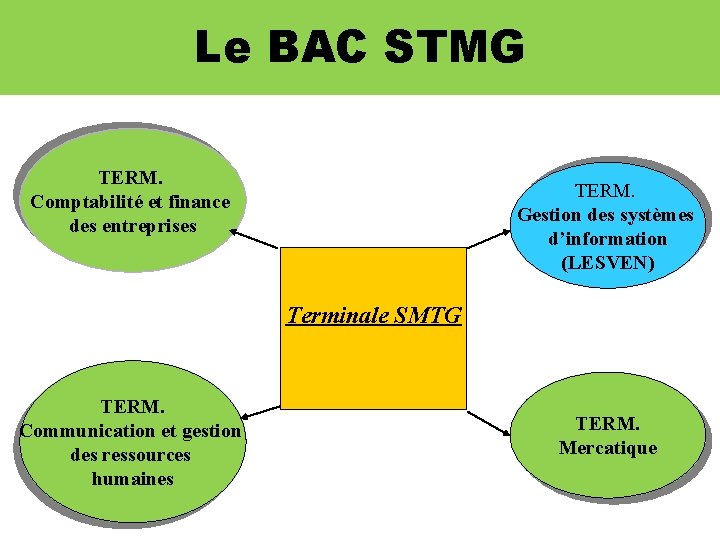 Le BAC STMG TERM. Comptabilité et finance des entreprises TERM. Gestion des systèmes d’information