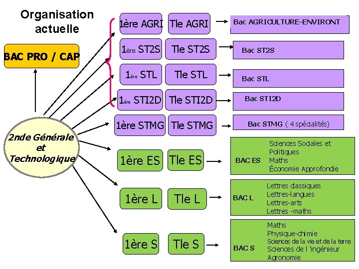 Organisation actuelle BAC PRO / CAP 1ère AGRI Tle AGRI 1ère ST 2 S