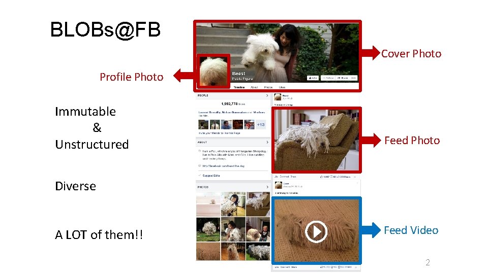 BLOBs@FB Cover Photo Profile Photo Immutable & Unstructured Feed Photo Diverse A LOT of
