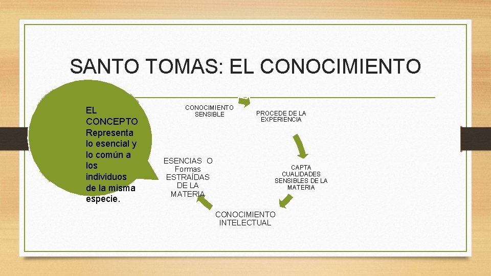 SANTO TOMAS: EL CONOCIMIENTO EL CONCEPTO Representa lo esencial y lo común a los