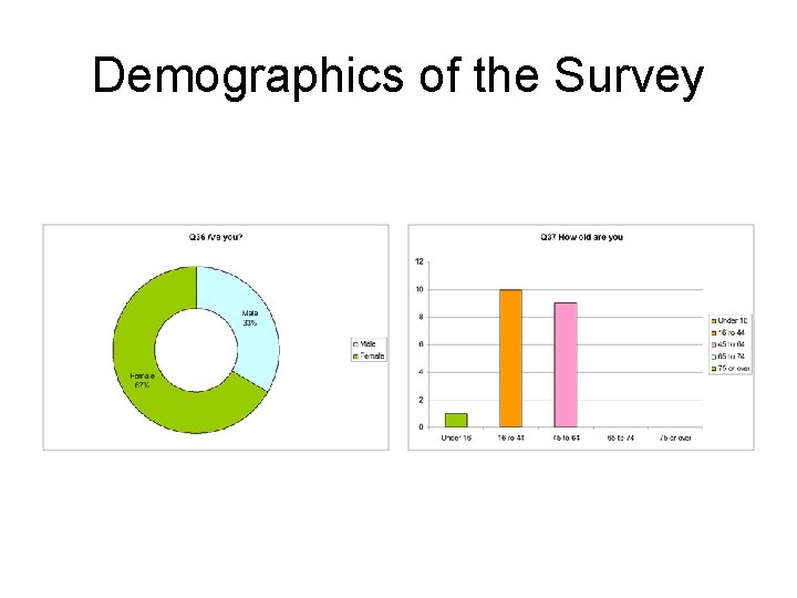 Demographics of the Survey 