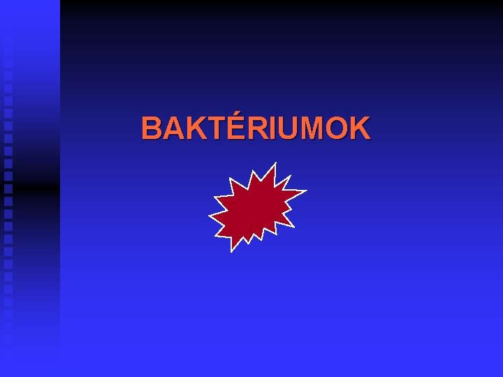 BAKTÉRIUMOK 