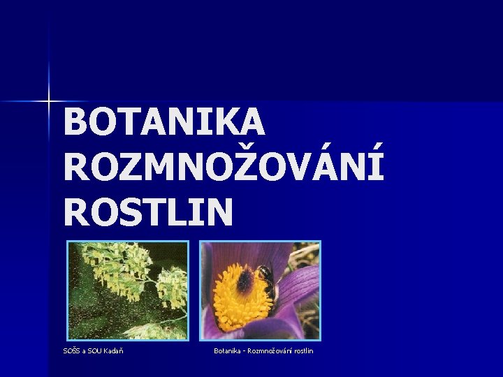 BOTANIKA ROZMNOŽOVÁNÍ ROSTLIN SOŠS a SOU Kadaň Botanika - Rozmnožování rostlin 