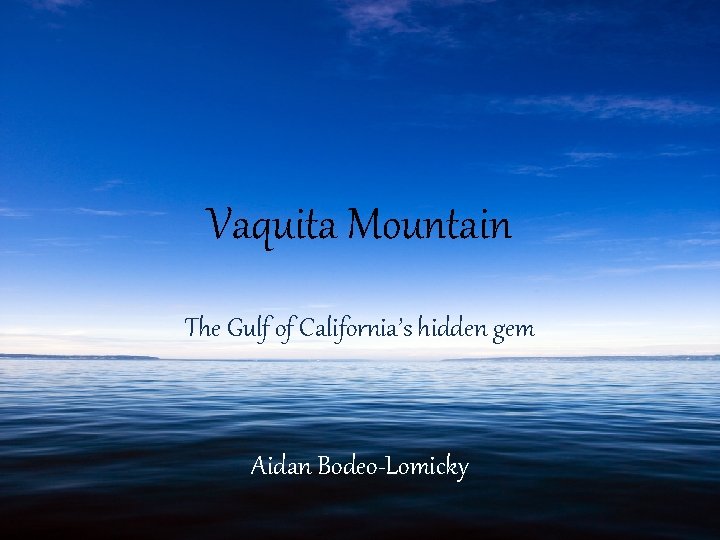 Vaquita Mountain The Gulf of California’s hidden gem Aidan Bodeo-Lomicky 