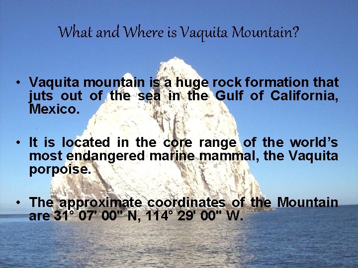 What and Where is Vaquita Mountain? • Vaquita mountain is a huge rock formation