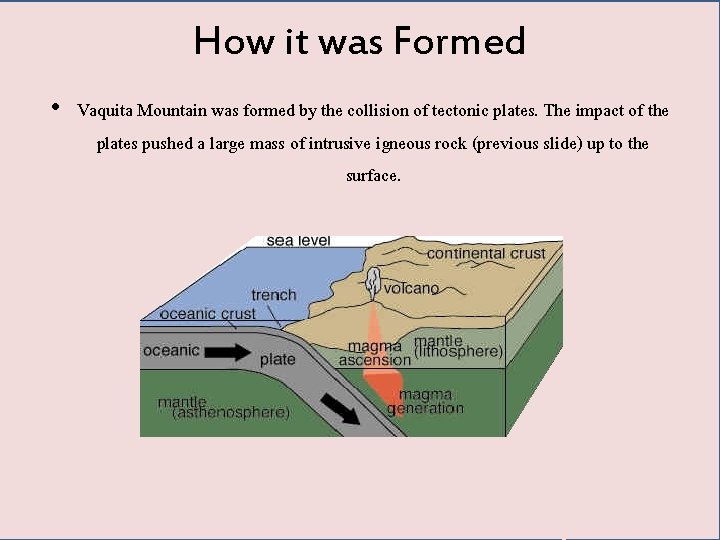 How it was Formed • Vaquita Mountain was formed by the collision of tectonic