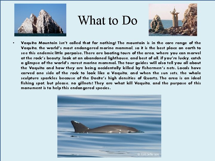 What to Do • Vaquita Mountain isn’t called that for nothing! The mountain is