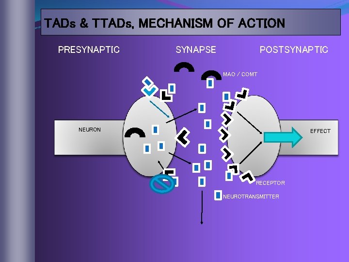 TADs & TTADs, MECHANISM OF ACTION PRESYNAPTIC SYNAPSE POSTSYNAPTIC MAO / COMT NEURON EFFECT