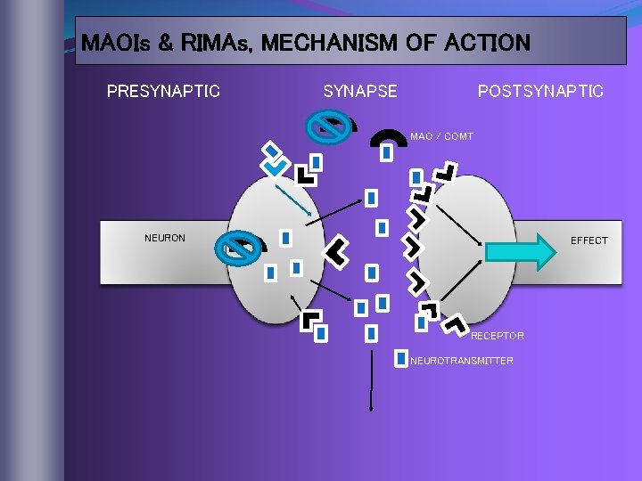 MAOIs & RIMAs, MECHANISM OF ACTION PRESYNAPTIC SYNAPSE POSTSYNAPTIC MAO / COMT NEURON EFFECT