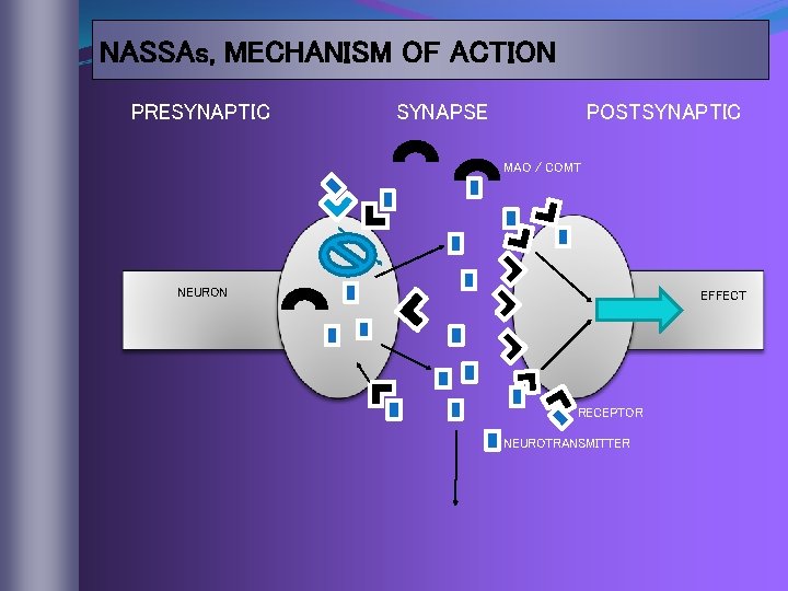 NASSAs, MECHANISM OF ACTION PRESYNAPTIC SYNAPSE POSTSYNAPTIC MAO / COMT NEURON EFFECT RECEPTOR NEUROTRANSMITTER