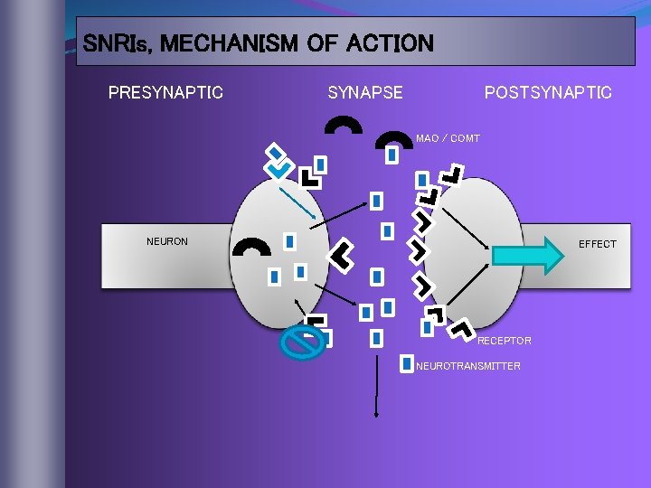 SNRIs, MECHANISM OF ACTION PRESYNAPTIC SYNAPSE POSTSYNAPTIC MAO / COMT NEURON EFFECT RECEPTOR NEUROTRANSMITTER