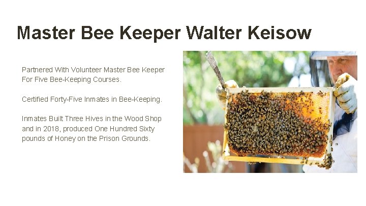 Master Bee Keeper Walter Keisow Partnered With Volunteer Master Bee Keeper For Five Bee-Keeping