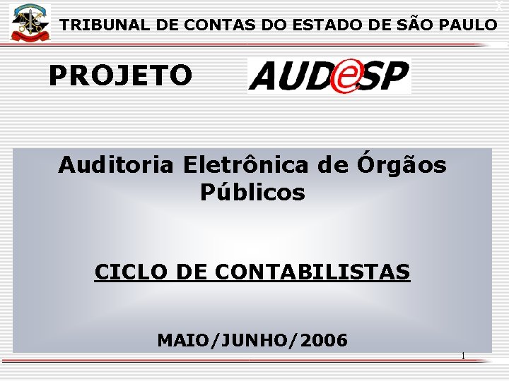 X TRIBUNAL DE CONTAS DO ESTADO DE SÃO PAULO PROJETO Auditoria Eletrônica de Órgãos