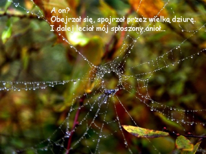 A on? Obejrzał się, spojrzał przez wielką dziurę. I dalej leciał mój spłoszony anioł…