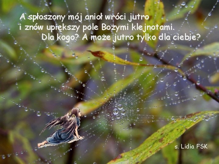 A spłoszony mój anioł wróci jutro i znów upiększy pole Bożymi klejnotami. Dla kogo?