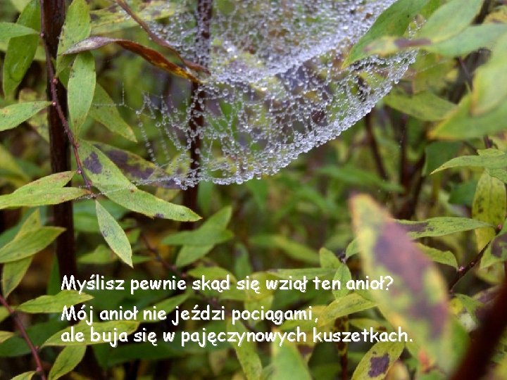 Myślisz pewnie skąd się wziął ten anioł? Mój anioł nie jeździ pociągami, ale buja