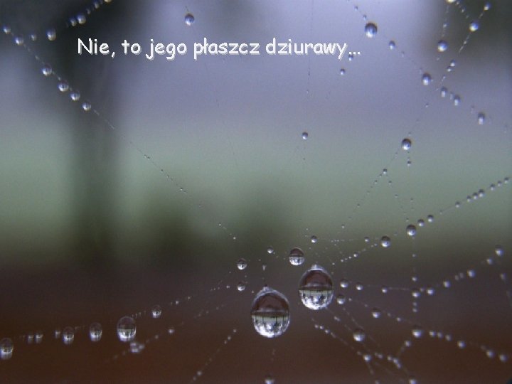 Nie, to jego płaszcz dziurawy… 