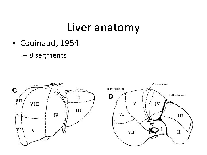 Liver anatomy • Couinaud, 1954 – 8 segments 