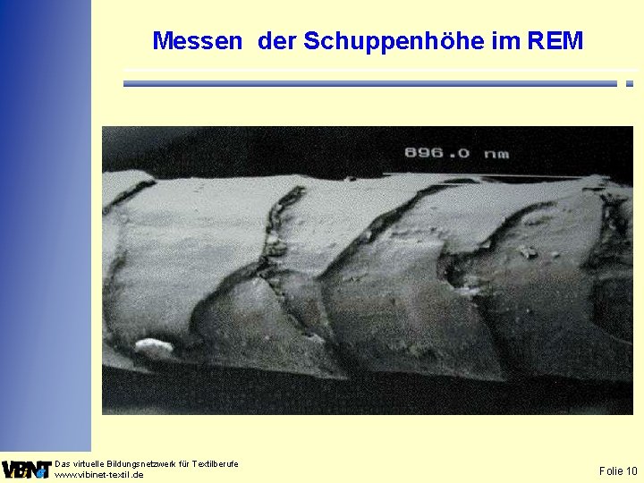 Messen der Schuppenhöhe im REM Das virtuelle Bildungsnetzwerk für Textilberufe www. vibinet-textil. de Folie