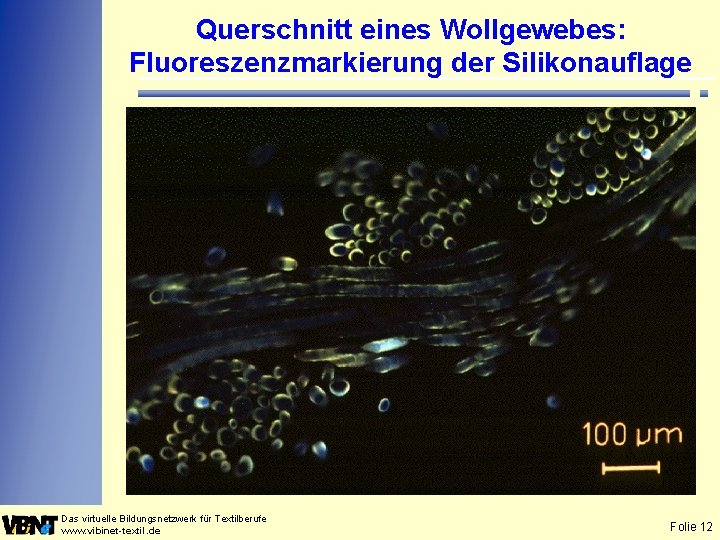 Querschnitt eines Wollgewebes: Fluoreszenzmarkierung der Silikonauflage Das virtuelle Bildungsnetzwerk für Textilberufe www. vibinet-textil. de