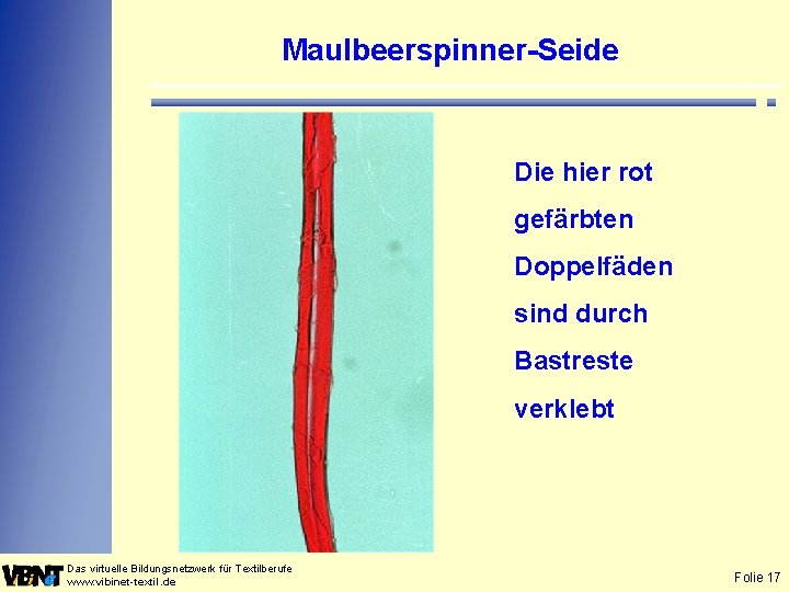 Maulbeerspinner-Seide Die hier rot gefärbten Doppelfäden sind durch Bastreste verklebt Das virtuelle Bildungsnetzwerk für