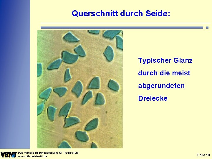 Querschnitt durch Seide: Typischer Glanz durch die meist abgerundeten Dreiecke Das virtuelle Bildungsnetzwerk für