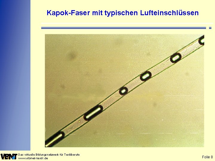 Kapok-Faser mit typischen Lufteinschlüssen Das virtuelle Bildungsnetzwerk für Textilberufe www. vibinet-textil. de Folie 8