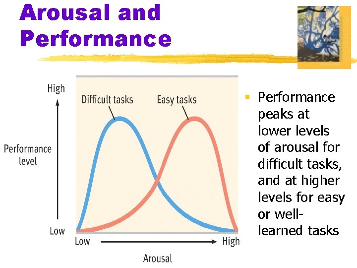 Arousal and Performance § Performance peaks at lower levels of arousal for difficult tasks,