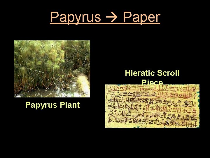 Papyrus Paper Hieratic Scroll Piece Papyrus Plant 