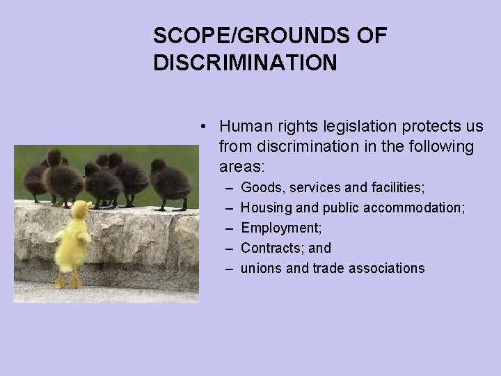 SCOPE/GROUNDS OF DISCRIMINATION • Human rights legislation protects us from discrimination in the following