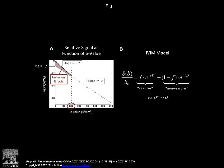 Fig. 1 Magnetic Resonance Imaging Clinics 2021 29233 -242 DOI: (10. 1016/j. mric. 2021.