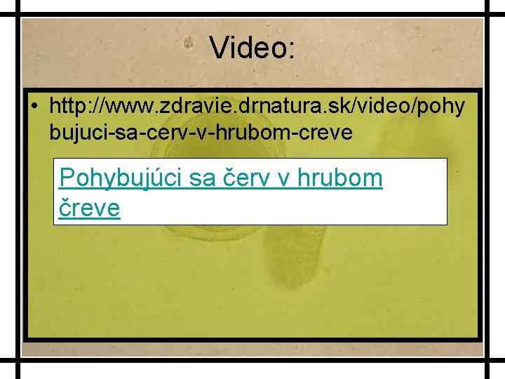 Video: • http: //www. zdravie. drnatura. sk/video/pohy bujuci-sa-cerv-v-hrubom-creve Pohybujúci sa červ v hrubom čreve