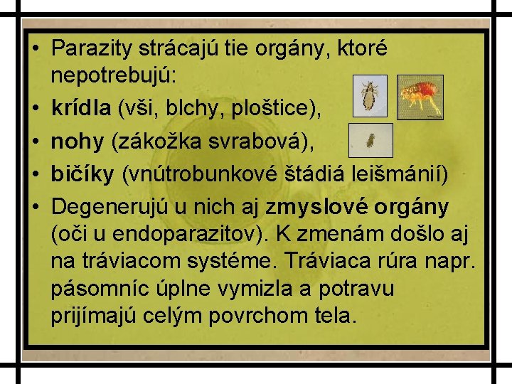  • Parazity strácajú tie orgány, ktoré nepotrebujú: • krídla (vši, blchy, ploštice), •