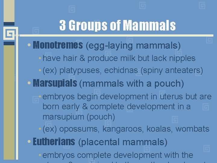 3 Groups of Mammals • Monotremes (egg-laying mammals) • have hair & produce milk
