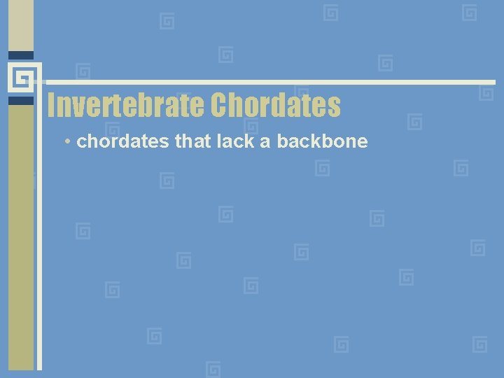 Invertebrate Chordates • chordates that lack a backbone 