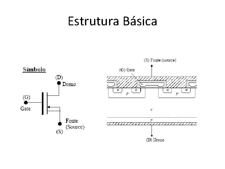 Estrutura Básica 