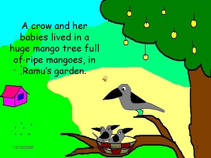 A crow and her babies lived in a huge mango tree full of ripe