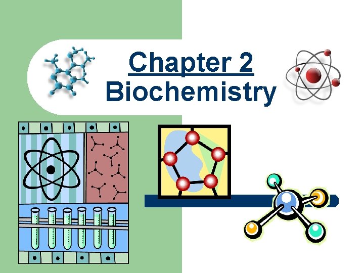 Chapter 2 Biochemistry 