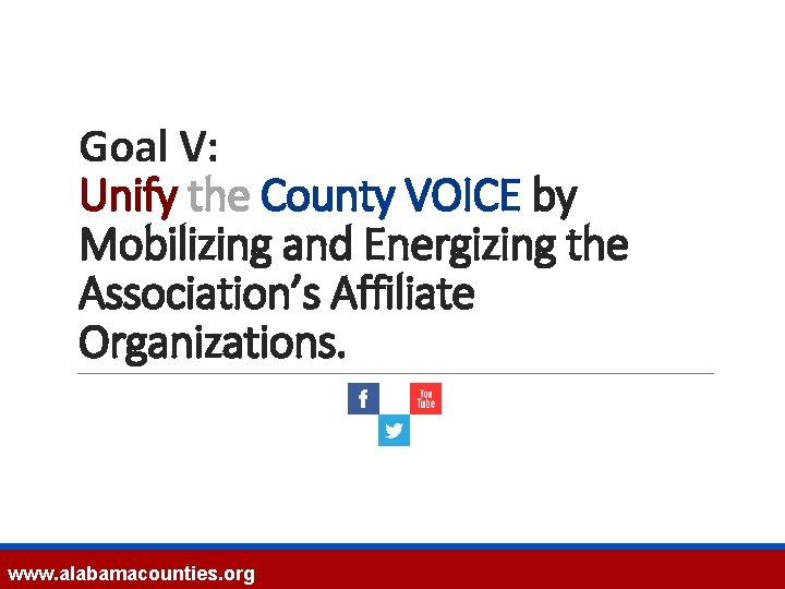 Goal V: Unify the County VOICE by Mobilizing and Energizing the Association’s Affiliate Organizations.