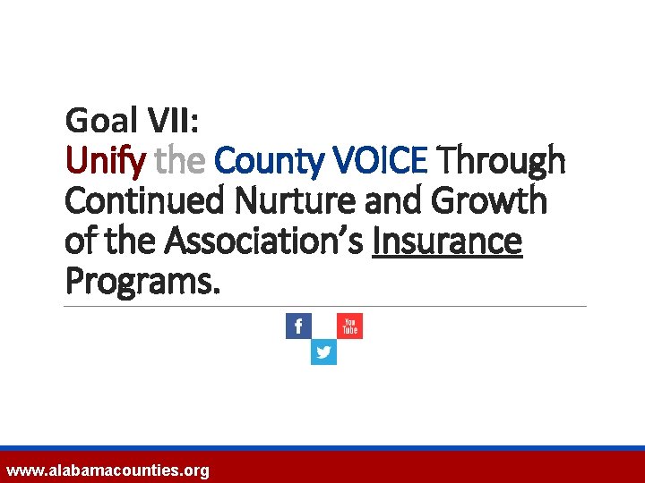 Goal VII: Unify the County VOICE Through Continued Nurture and Growth of the Association’s