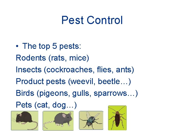 Pest Control • The top 5 pests: Rodents (rats, mice) Insects (cockroaches, flies, ants)