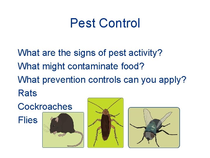 Pest Control What are the signs of pest activity? What might contaminate food? What