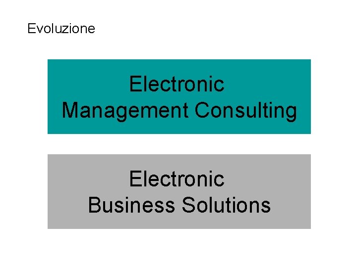 Evoluzione Electronic Management Consulting Electronic Business Solutions 