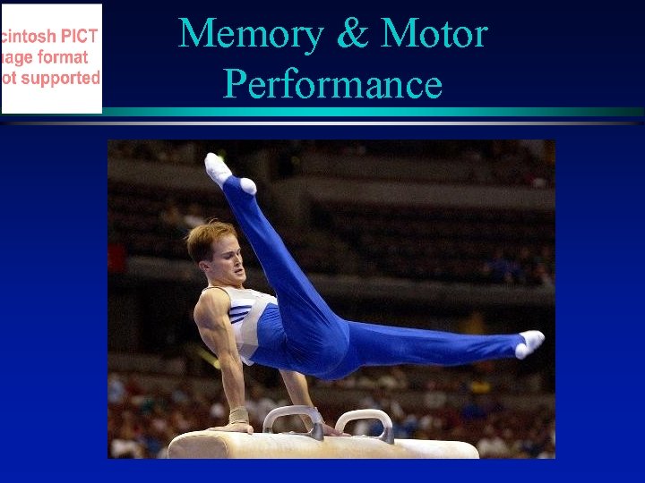 Memory & Motor Performance 