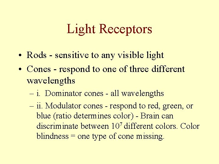 Light Receptors • Rods - sensitive to any visible light • Cones - respond